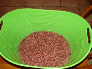 redbeans012.jpg
